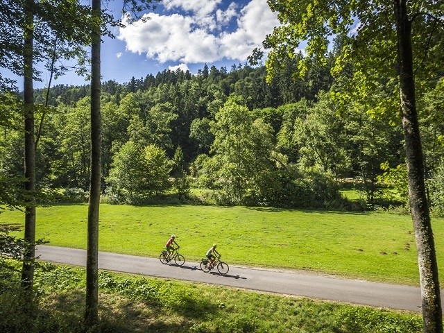 Schwarzwald Radfahren Genussradeln Nagoldtal