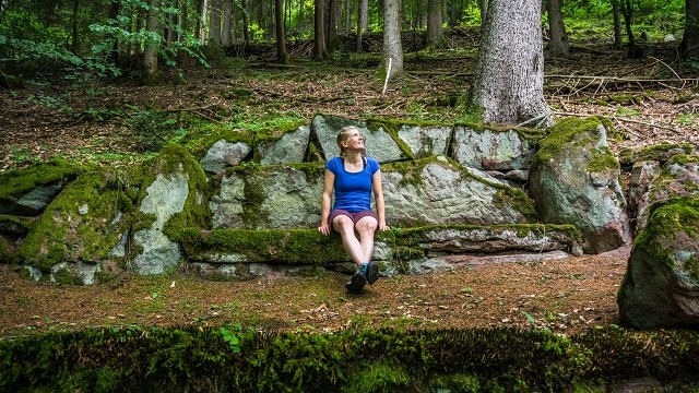 Schwarzwald Gesundheit Waldbaden