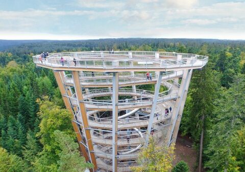 Schwarzwald Nachhaltiger Partner Baumwipfelpfad