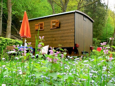 Schwarzwald Urlaub Bienenwagen Nachhaltiger Partner