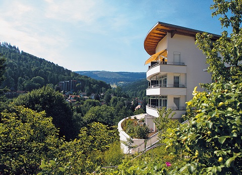 Schwarzwald Urlaub Nachhaltiger Partner Schwarzwald Panorama