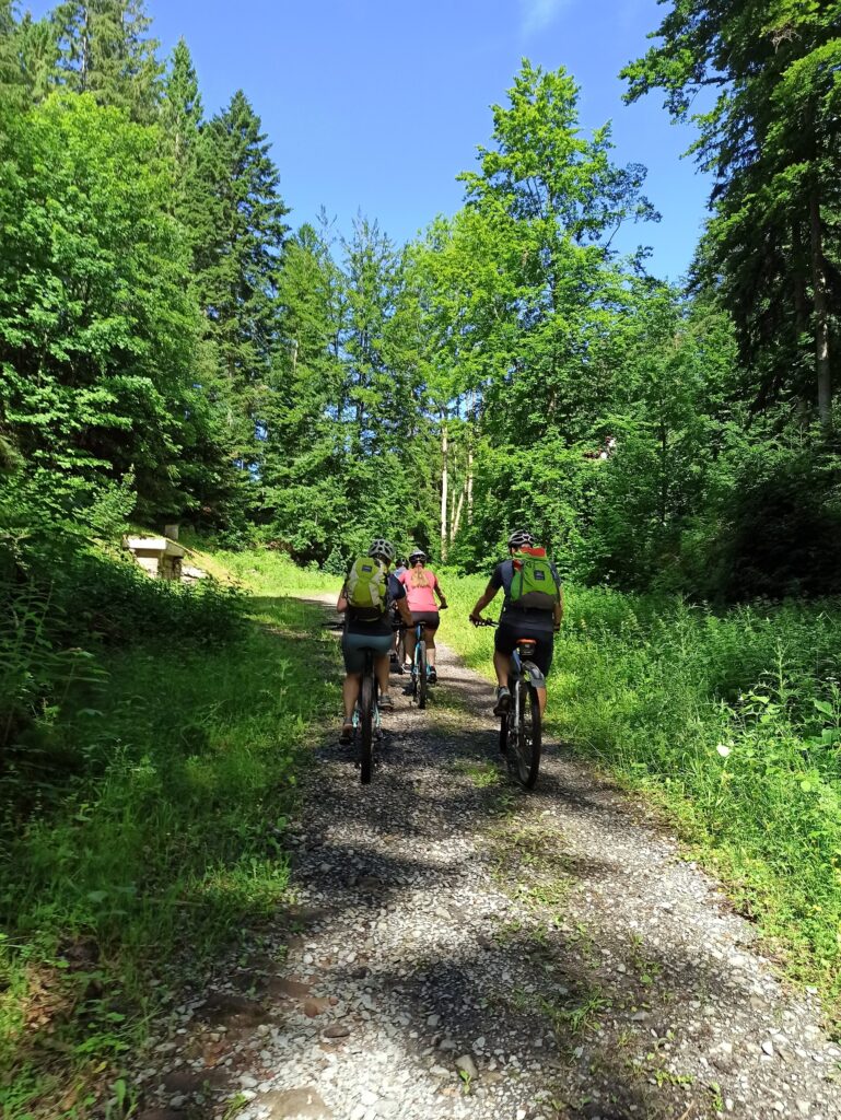 Schwarzwald Blog Radfahren Aktiv Outdoor
