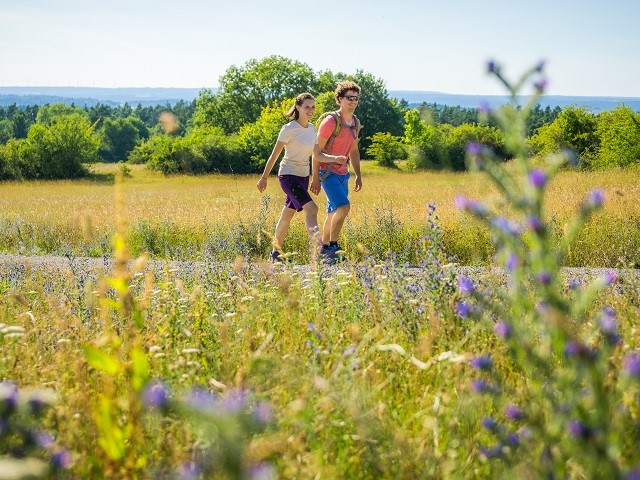 Schwarzwald Wandern Wanderservice Gepaecktransport