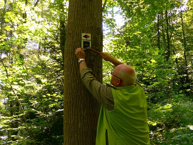 Schwarzwald Wandern Wegenetz Beschilderung Schwarzwaldverein