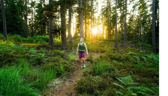 Schwarzwald Wandern Touren Sommer