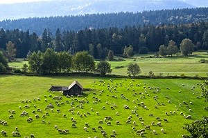 Schwarzwald-Urlaub-Partner-Gastgeberverzeichnis-News
