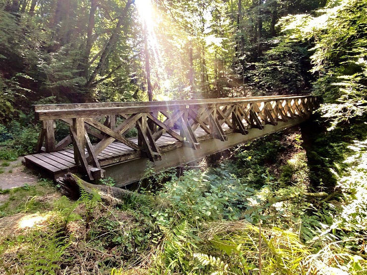 Schwarzwald Blog Landmeedchen Wandern