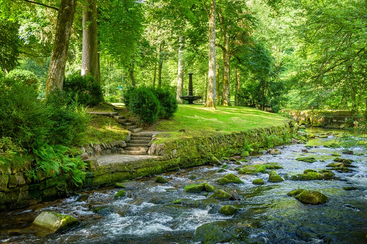 Schwarzwald Blog Natur Kurpark Bad Wildbad