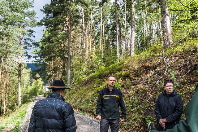 Schwarzwald Blog Natur Forst Waidelich