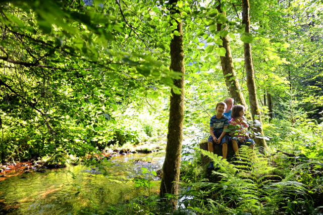 Schwarzwald Wandern Wanderurlaub Der Teinacher Wasserstelle