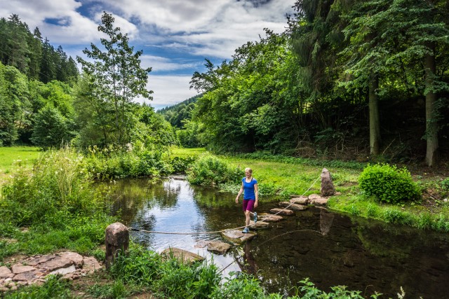 Schwarzwald Wandern Wanderurlaub Wanderweg Teinacher