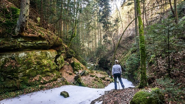 Schwarzwald Urlaub Natur Schluchten Xanderklinge Calw Holzbronn