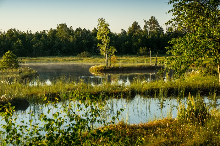 Schwarzwald Urlaub Blog Thomas Bertsch Wildsee