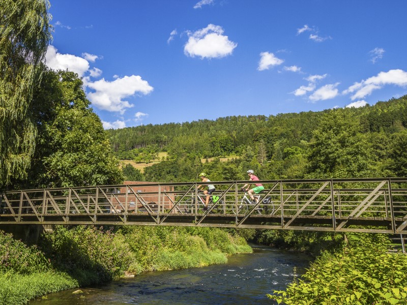 rennrad trikot lang „Ardennes“ Dunkelgrün Herren Style:default Ideen mit Herz Aufbewahrung hand protection
