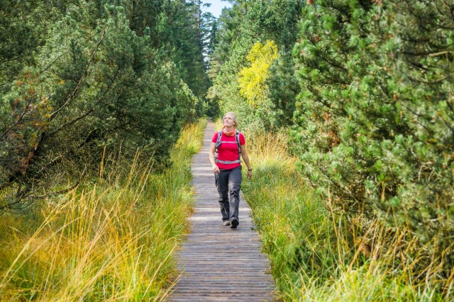 Schwarzwald Wandern Natur Bohlenweg Hochmoor