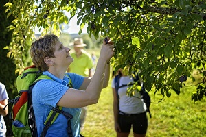 Franziska Bürkle Teinachtal