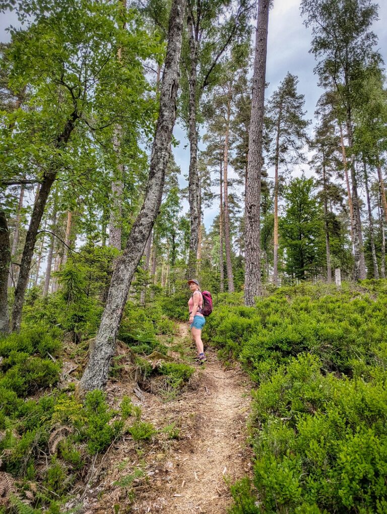 Enzquellenpfad Enzklösterle im Schwarzwald