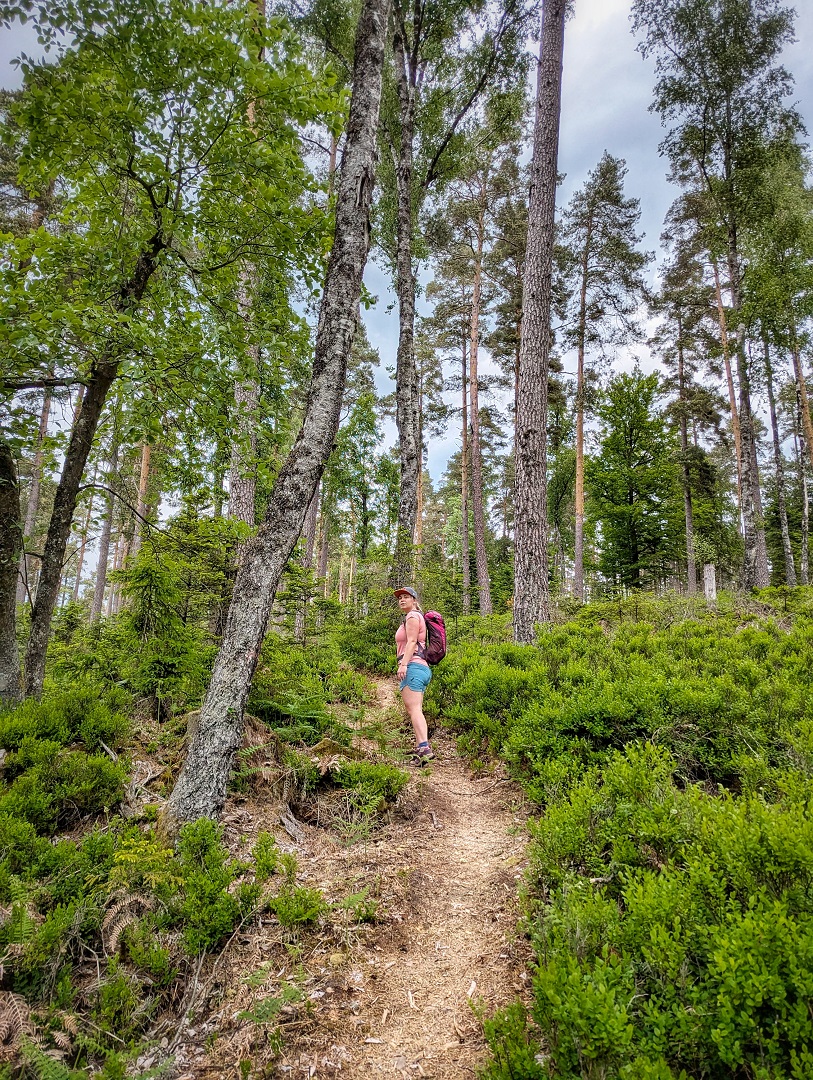 Enzquellenpfad Enzklösterle im Schwarzwald