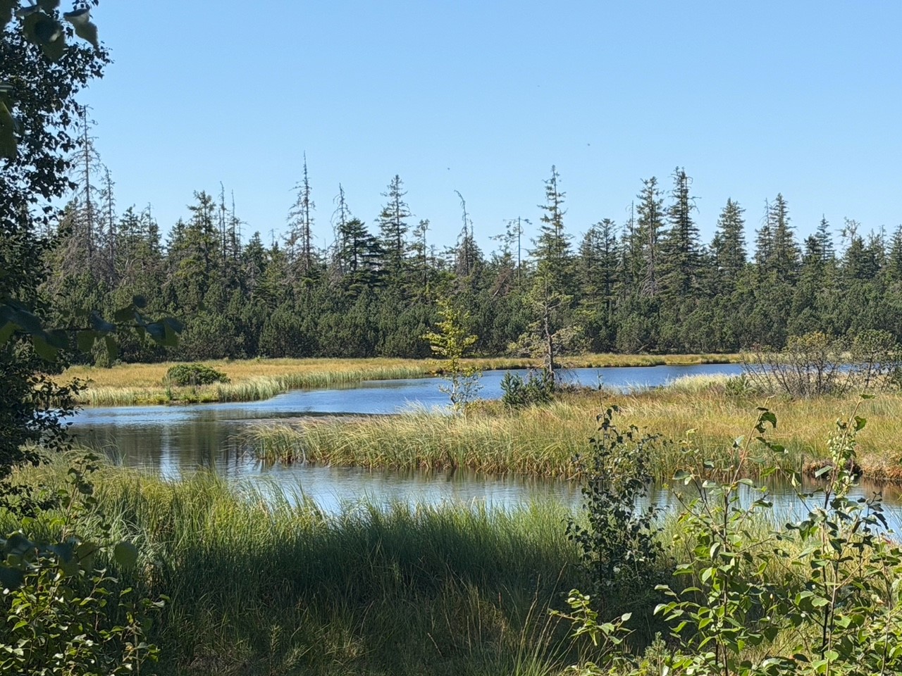 Holohsee verliert Wasser Foto Zoller
